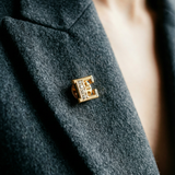 PIN BROOCH AND GLITTER