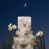 ERIKA NECKLACE
